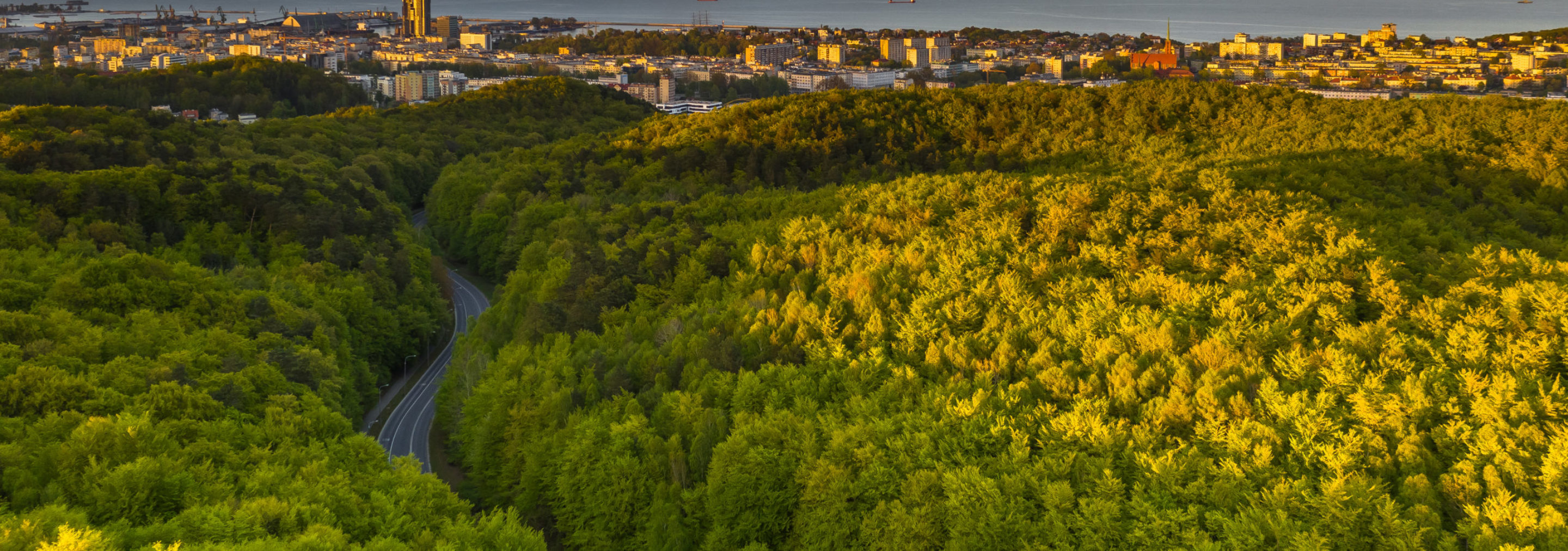 gdynia landscape